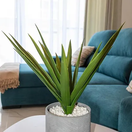 H3 - Modern And Spacious 3 Bedroom アパート *